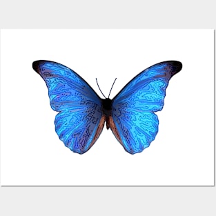 Blue Butterfly Line Art Design Posters and Art